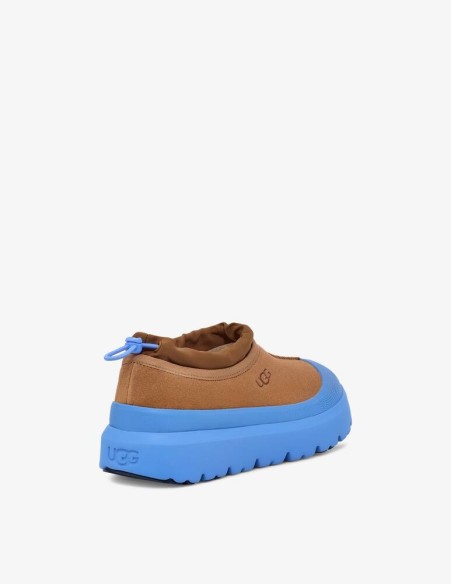 M TASMAN WEATHER HYBRID