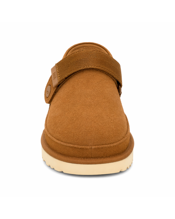 GOLDENSTAR CLOG 2