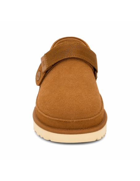 GOLDENSTAR CLOG