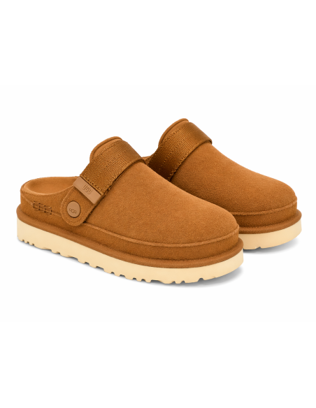 GOLDENSTAR CLOG