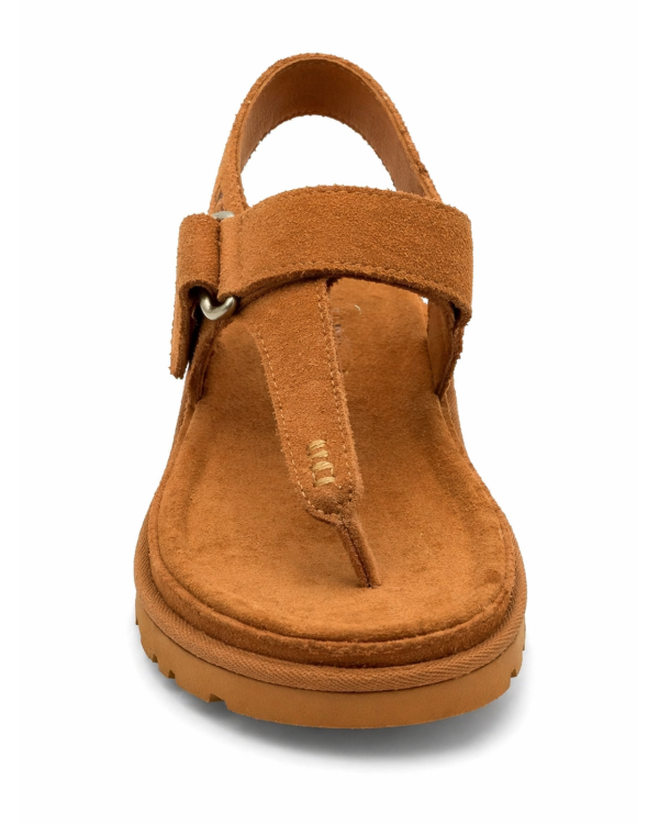 W GOLDENGAZE TOE POST 2