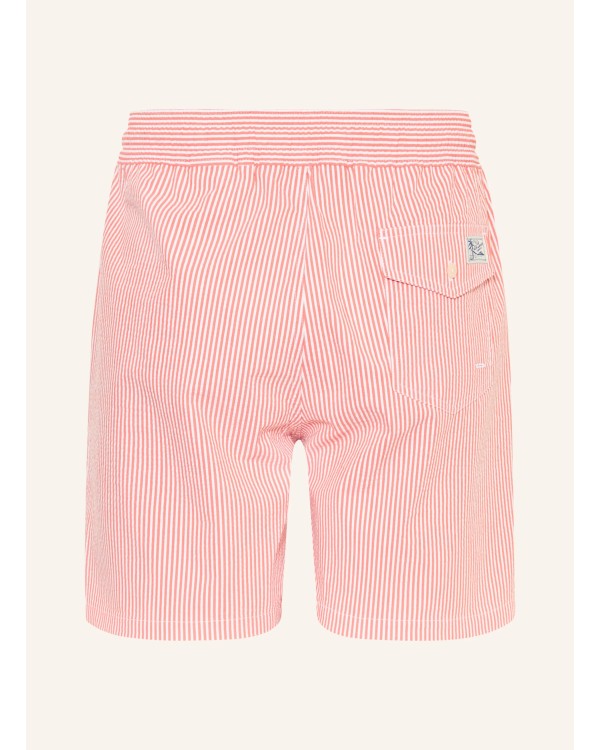 TRAVELER-MID-TRUNK 2